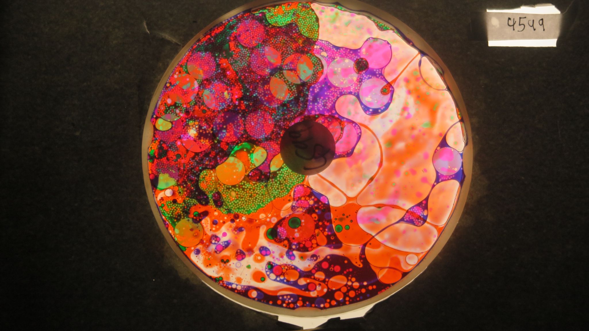 BV4599 bubble vision oil wheel